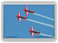 Jordanian Falcons_1